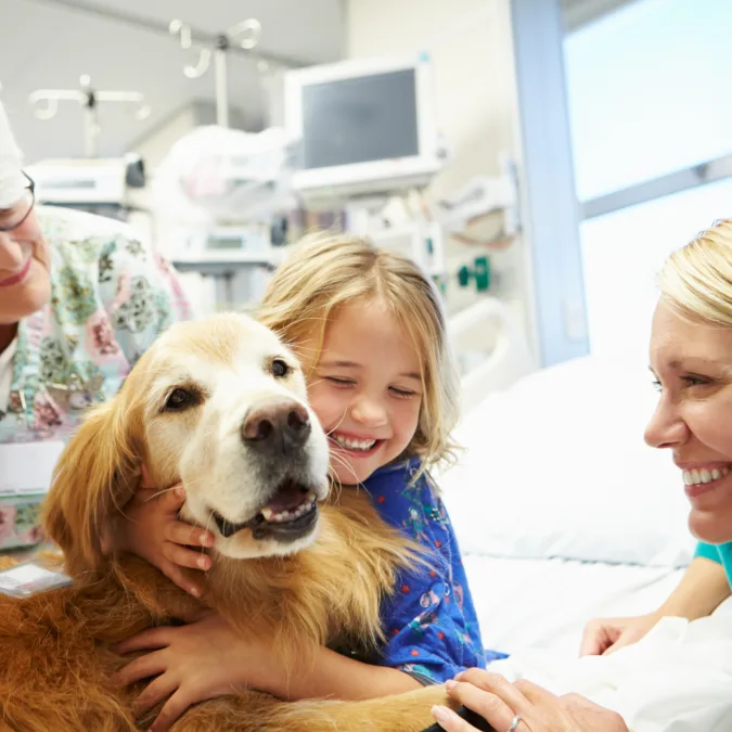 Junges Mädchen wird im Krankenhaus von Therapiehund besucht